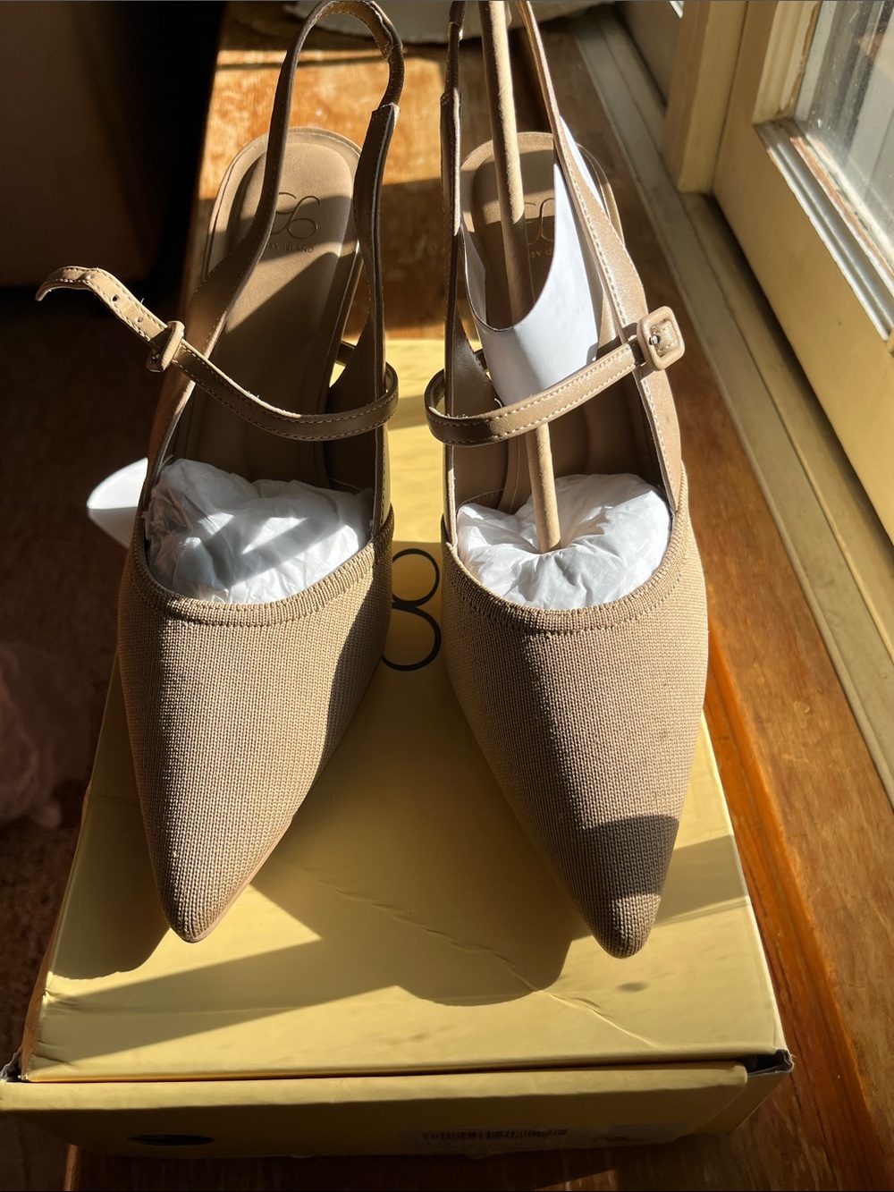 Women's Beige Pointed Toe Slingback Heels